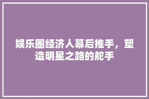 娱乐圈经济人幕后推手,塑造明星之路的舵手 娱乐圈经济人幕后推手,塑造明星之路的舵手