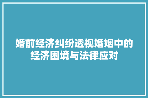 婚前经济纠纷透视婚姻中的经济困境与法律应对 婚前经济纠纷透视婚姻中的经济困境与法律应对