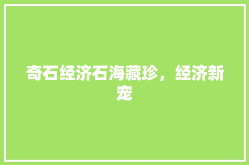奇石经济石海藏珍,经济新宠 奇石经济石海藏珍,经济新宠