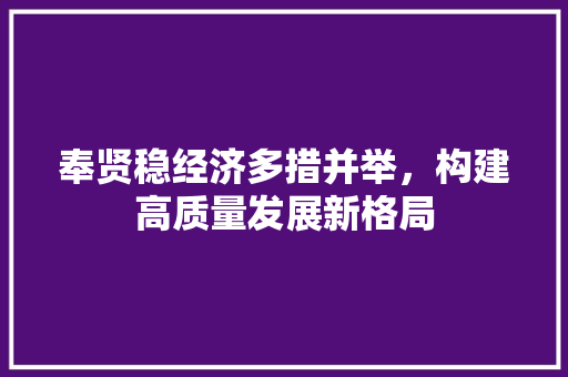 奉贤稳经济多措并举,构建高质量发展新格局 奉贤稳经济多措并举,构建高质量发展新格局