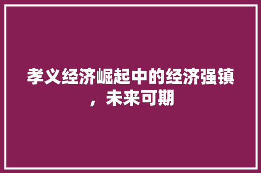 孝义经济崛起中的经济强镇,未来可期 孝义经济崛起中的经济强镇,未来可期