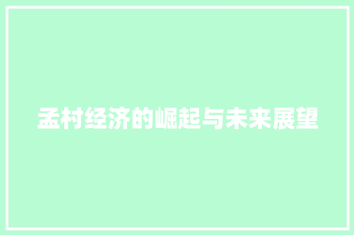 孟村经济的崛起与未来展望 孟村经济的崛起与未来展望