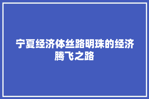 宁夏经济体丝路明珠的经济腾飞之路 宁夏经济体丝路明珠的经济腾飞之路