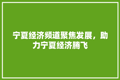 宁夏经济频道聚焦发展,助力宁夏经济腾飞 宁夏经济频道聚焦发展,助力宁夏经济腾飞
