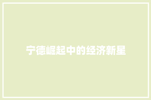 宁德崛起中的经济新星 宁德崛起中的经济新星