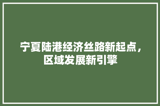 宁夏陆港经济丝路新起点,区域发展新引擎 宁夏陆港经济丝路新起点,区域发展新引擎