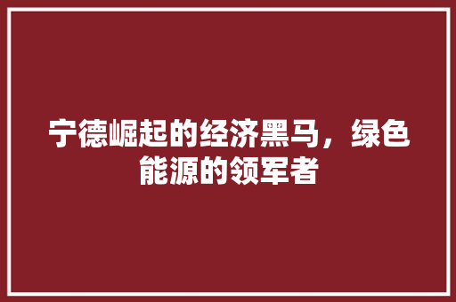 宁德崛起的经济黑马,绿色能源的领军者 宁德崛起的经济黑马,绿色能源的领军者