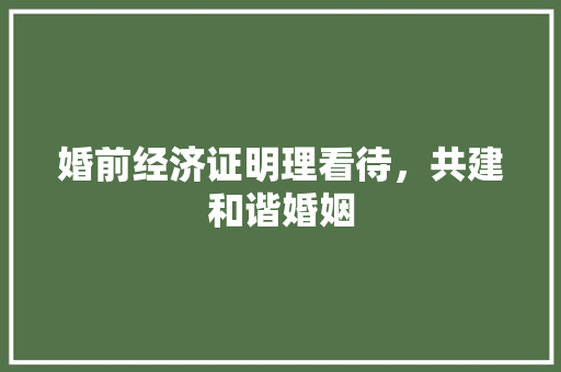 婚前经济证明理看待,共建和谐婚姻 婚前经济证明理看待,共建和谐婚姻