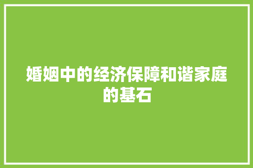 婚姻中的经济保障和谐家庭的基石 婚姻中的经济保障和谐家庭的基石