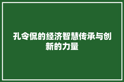 孔令侃的经济智慧传承与创新的力量 孔令侃的经济智慧传承与创新的力量