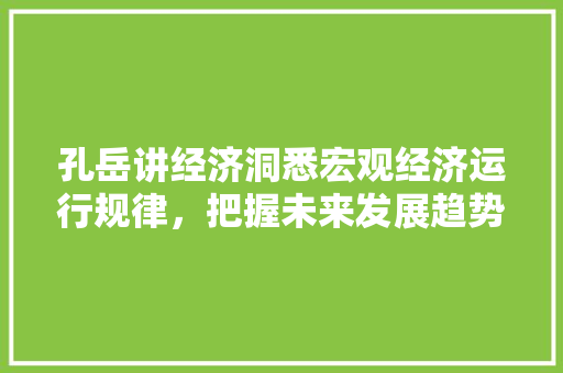 孔岳讲经济洞悉宏观经济运行规律,把握未来发展趋势 孔岳讲经济洞悉宏观经济运行规律,把握未来发展趋势