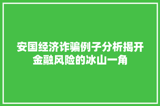 安国经济诈骗例子分析揭开金融风险的冰山一角 安国经济诈骗例子分析揭开金融风险的冰山一角