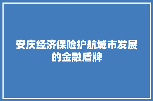 安庆经济保险护航城市发展的金融盾牌 安庆经济保险护航城市发展的金融盾牌