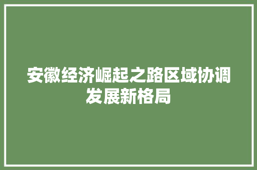 安徽经济崛起之路区域协调发展新格局 安徽经济崛起之路区域协调发展新格局