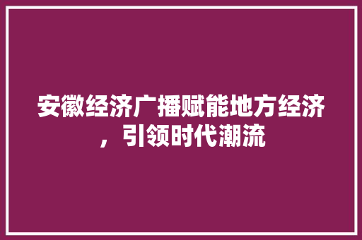 安徽经济广播赋能地方经济,引领时代潮流 安徽经济广播赋能地方经济,引领时代潮流