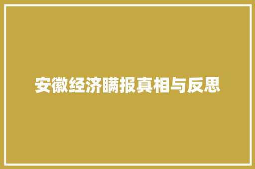 安徽经济瞒报真相与反思 安徽经济瞒报真相与反思