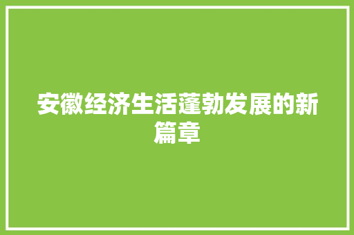 安徽经济生活蓬勃发展的新篇章 安徽经济生活蓬勃发展的新篇章