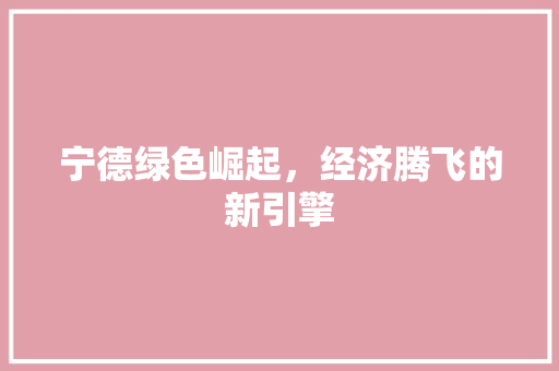 宁德绿色崛起,经济腾飞的新引擎 宁德绿色崛起,经济腾飞的新引擎