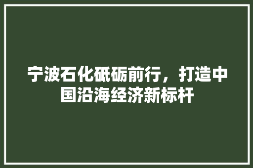 宁波石化砥砺前行,打造中国沿海经济新标杆 宁波石化砥砺前行,打造中国沿海经济新标杆