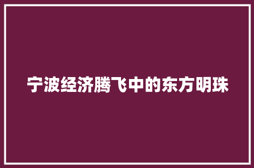 宁波经济腾飞中的东方明珠 宁波经济腾飞中的东方明珠