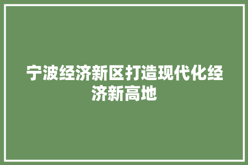 宁波经济新区打造现代化经济新高地 宁波经济新区打造现代化经济新高地