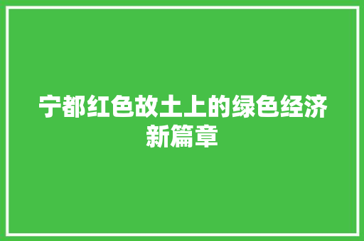 宁都红色故土上的绿色经济新篇章