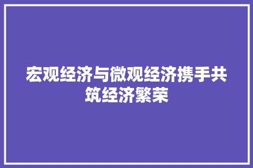 宏观经济与微观经济携手共筑经济繁荣 宏观经济与微观经济携手共筑经济繁荣