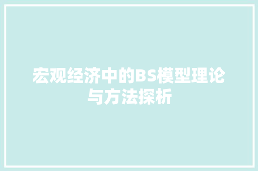 宏观经济中的BS模型理论与方法探析 宏观经济中的BS模型理论与方法探析