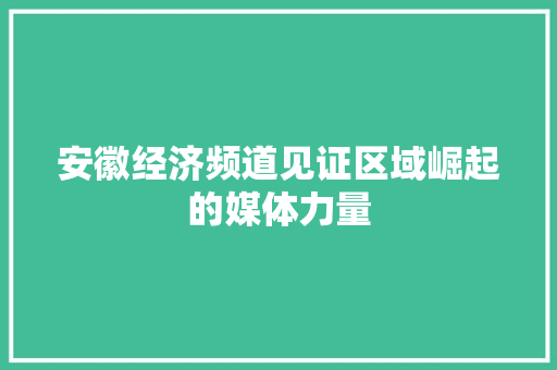 安徽经济频道见证区域崛起的媒体力量 安徽经济频道见证区域崛起的媒体力量
