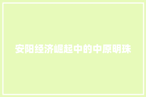 安阳经济崛起中的中原明珠 安阳经济崛起中的中原明珠