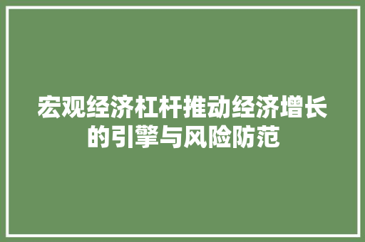 宏观经济杠杆推动经济增长的引擎与风险防范 宏观经济杠杆推动经济增长的引擎与风险防范