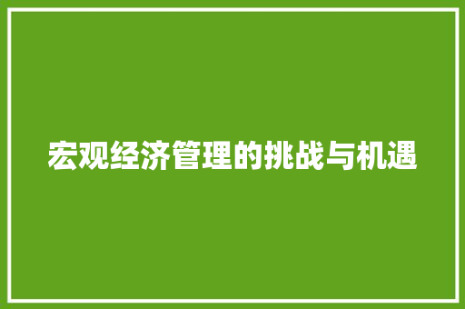 宏观经济管理的挑战与机遇 宏观经济管理的挑战与机遇