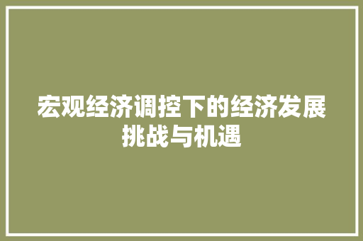 宏观经济调控下的经济发展挑战与机遇 宏观经济调控下的经济发展挑战与机遇