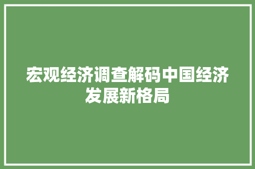 宏观经济调查解码中国经济发展新格局 宏观经济调查解码中国经济发展新格局