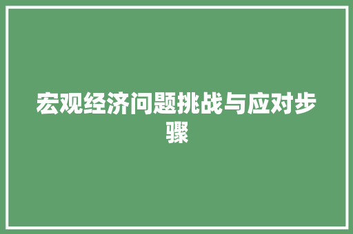 宏观经济问题挑战与应对步骤 宏观经济问题挑战与应对步骤