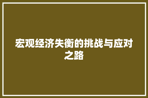 宏观经济失衡的挑战与应对之路 宏观经济失衡的挑战与应对之路