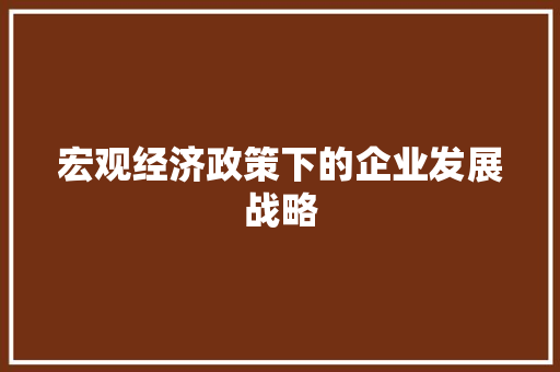 宏观经济政策下的企业发展战略 宏观经济政策下的企业发展战略