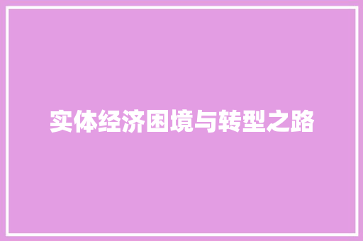 实体经济困境与转型之路 实体经济困境与转型之路