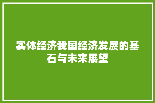 实体经济我国经济发展的基石与未来展望 实体经济我国经济发展的基石与未来展望