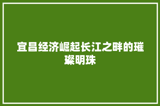 宜昌经济崛起长江之畔的璀璨明珠 宜昌经济崛起长江之畔的璀璨明珠