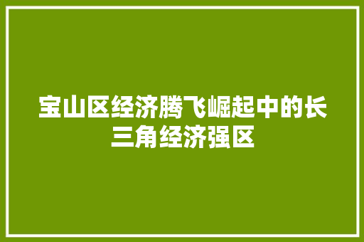 宝山区经济腾飞崛起中的长三角经济强区 宝山区经济腾飞崛起中的长三角经济强区