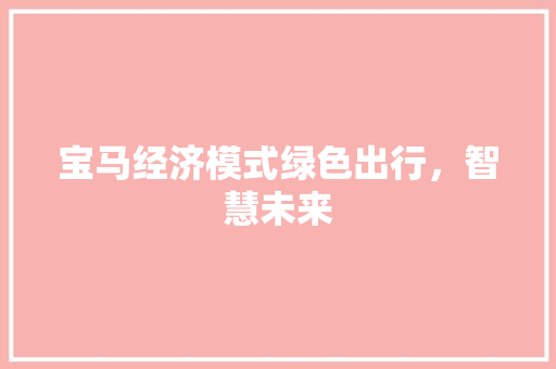宝马经济模式绿色出行,智慧未来 宝马经济模式绿色出行,智慧未来