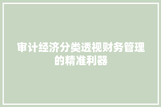 审计经济分类透视财务管理的精准利器 审计经济分类透视财务管理的精准利器