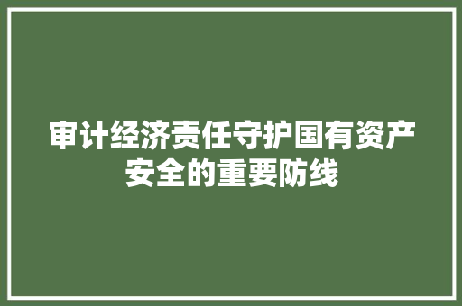 审计经济责任守护国有资产安全的重要防线 审计经济责任守护国有资产安全的重要防线