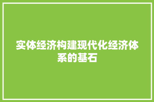 实体经济构建现代化经济体系的基石 实体经济构建现代化经济体系的基石