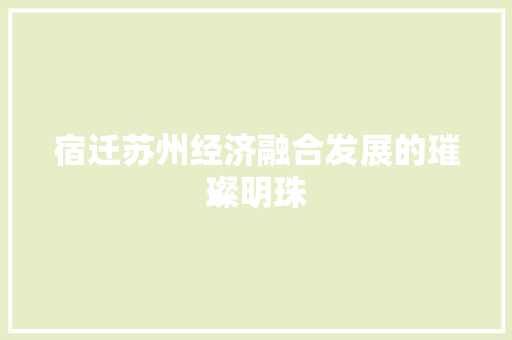 宿迁苏州经济融合发展的璀璨明珠 宿迁苏州经济融合发展的璀璨明珠