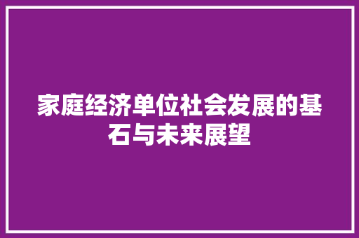 家庭经济单位社会发展的基石与未来展望 家庭经济单位社会发展的基石与未来展望