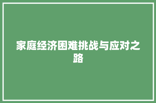 家庭经济困难挑战与应对之路 家庭经济困难挑战与应对之路