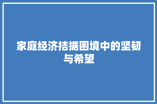 家庭经济拮据困境中的坚韧与希望 家庭经济拮据困境中的坚韧与希望