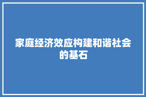 家庭经济效应构建和谐社会的基石 家庭经济效应构建和谐社会的基石